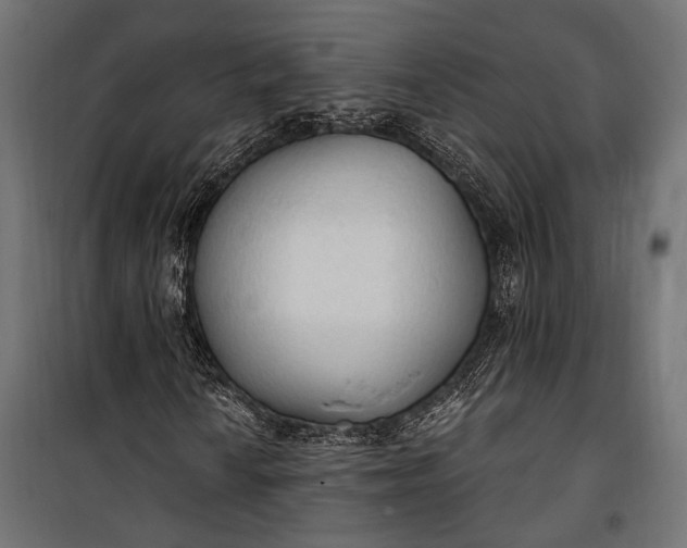 X0000100331010200806191103