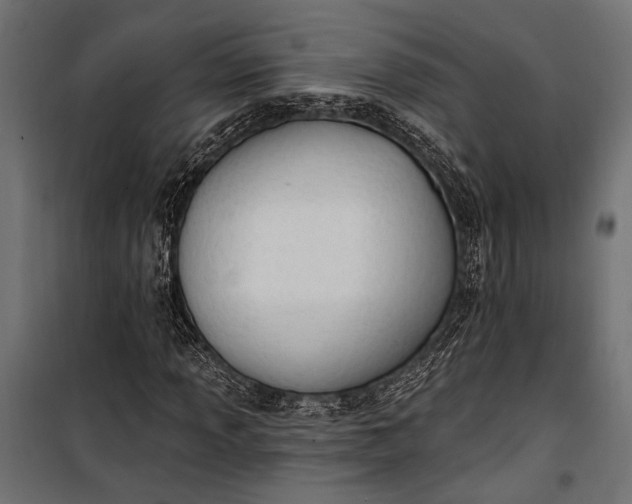 X0000100331013200806191103