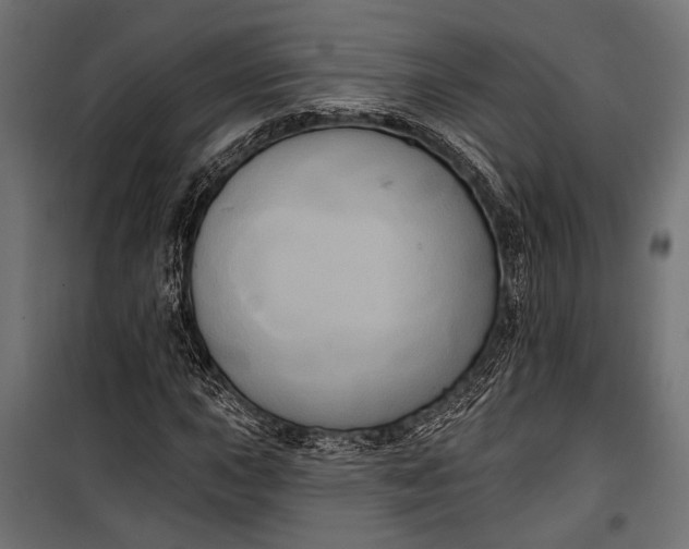 X0000100331015200806191103