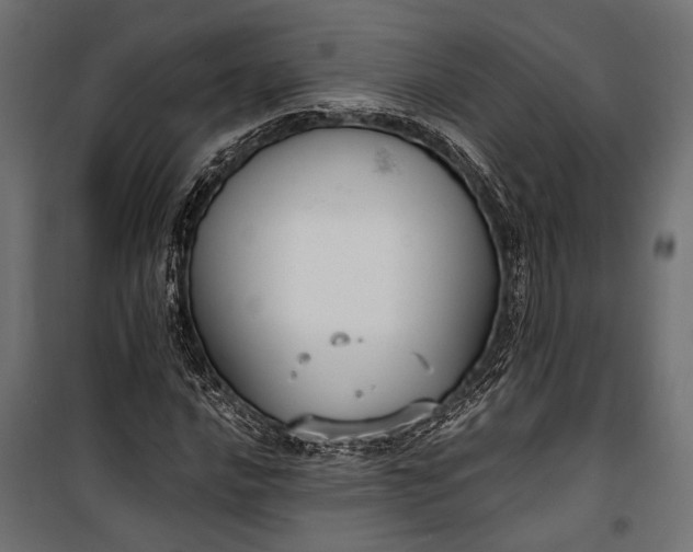 X0000100331016200806191103