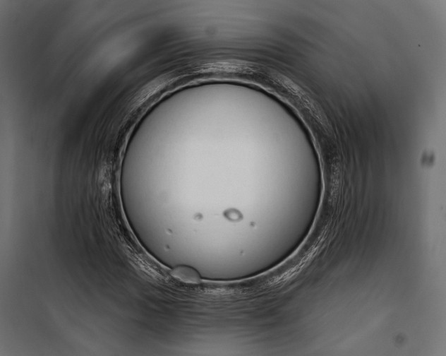 X0000100331017200806191103