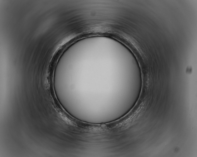 X0000100331018200806191103