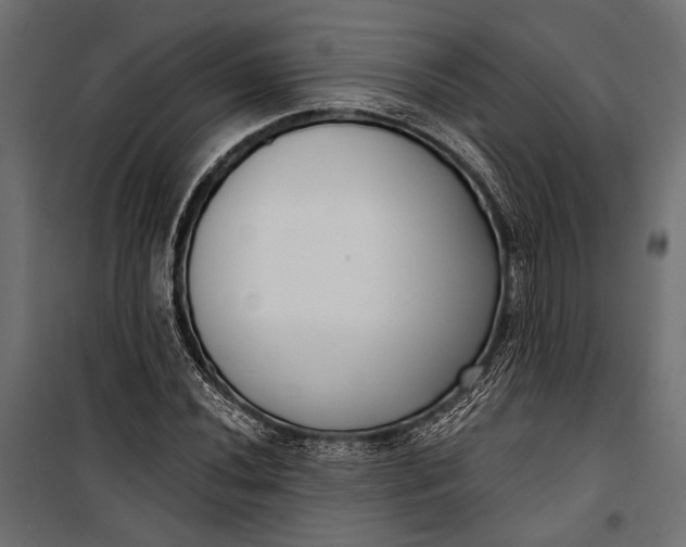 X0000100331020200806191103