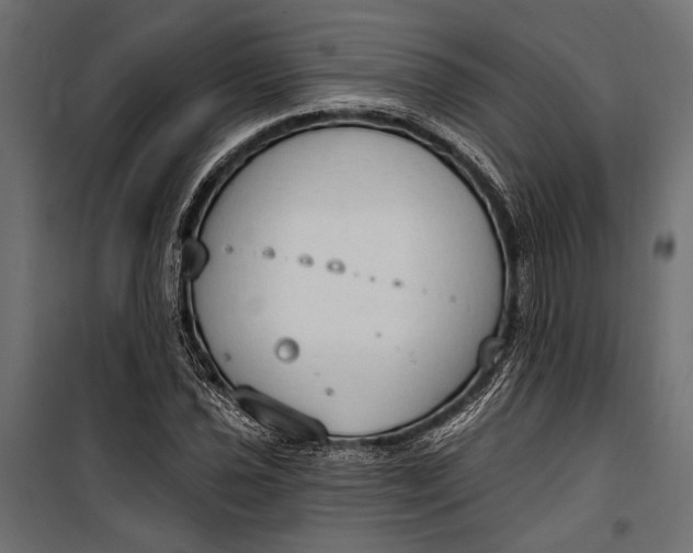 X0000100331021200806191103