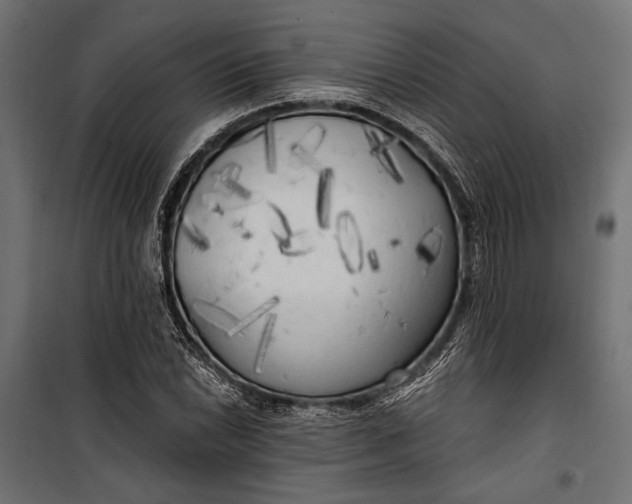 X0000100331022200806191103