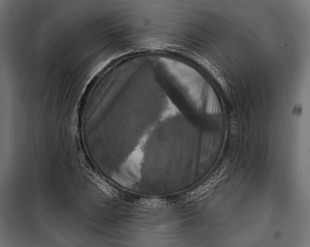 X0000100331023200806191103