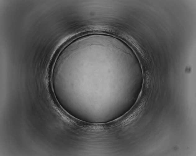 X0000100331024200806191103