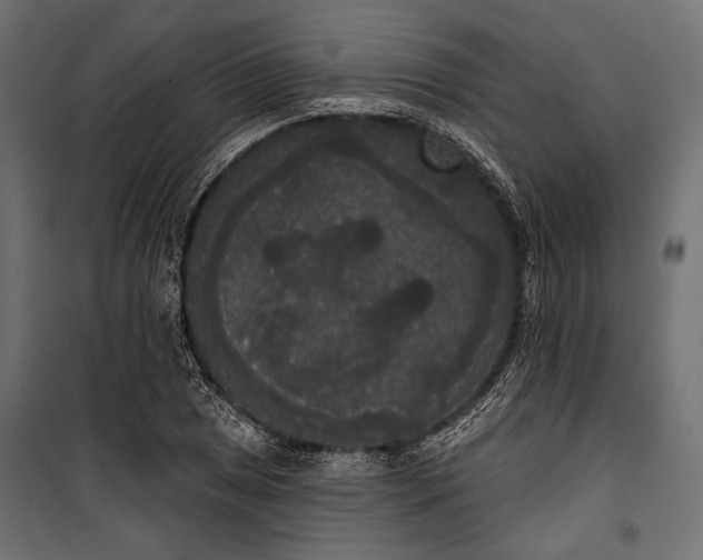 X0000100331025200806191103