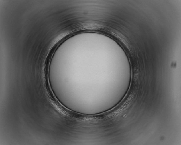 X0000100331026200806191103