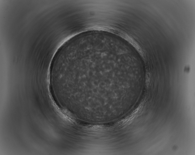 X0000100331028200806191103