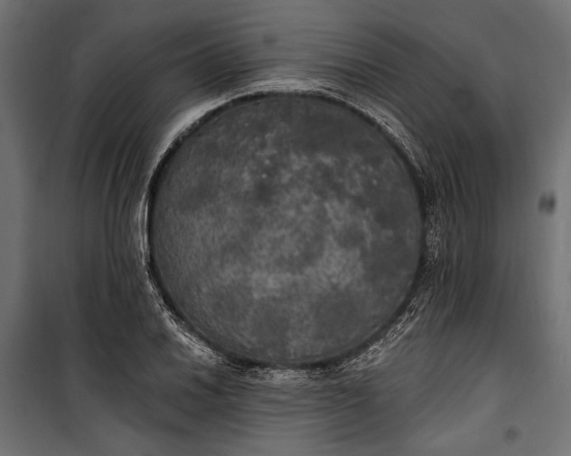 X0000100331030200806191103