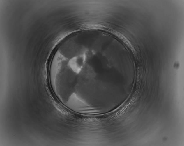 X0000100331031200806191103