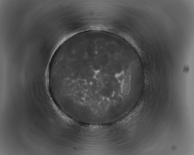 X0000100331032200806191103