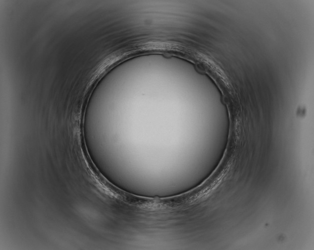 X0000100331033200806191103