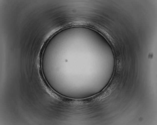 X0000100331034200806191103