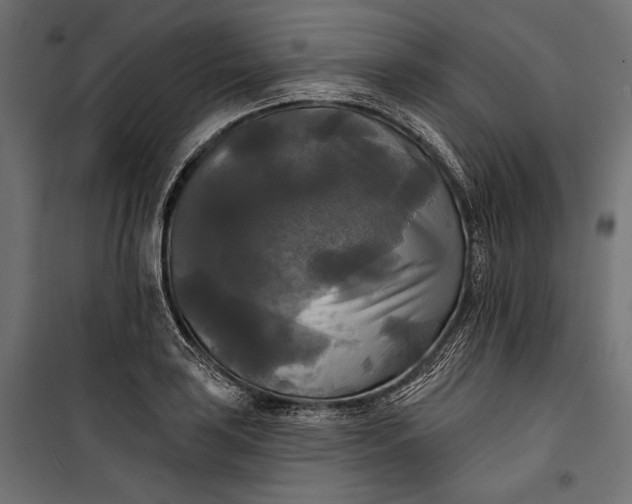 X0000100331035200806191103