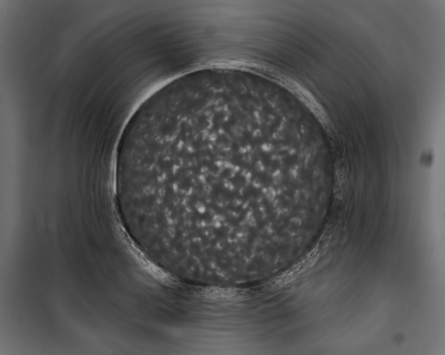 X0000100331036200806191103