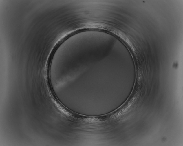 X0000100331037200806191103