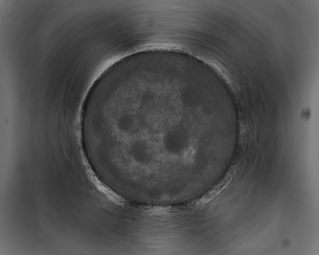 X0000100331038200806191103