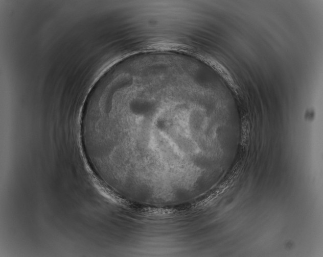 X0000100331039200806191103