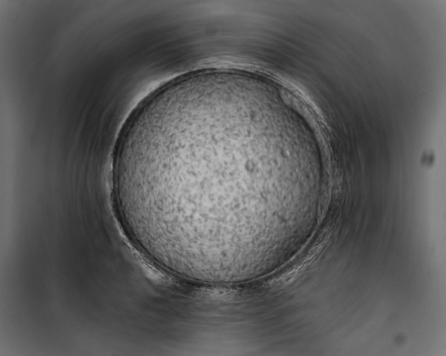 X0000100331040200806191103