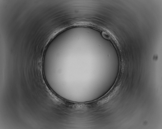 X0000100331041200806191103