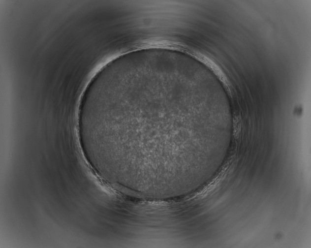 X0000100331043200806191103