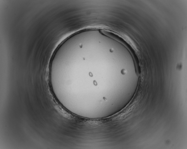 X0000100331044200806191103