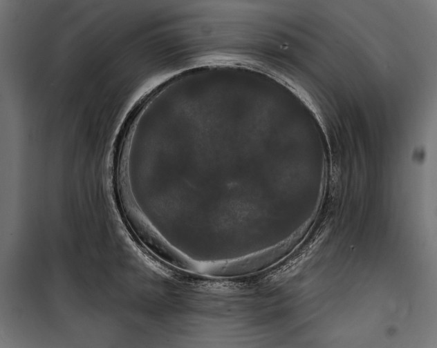 X0000100331045200806191103