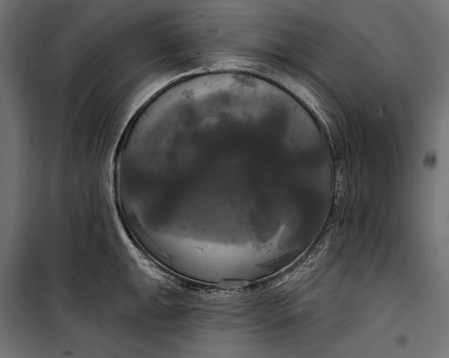 X0000100331047200806191103