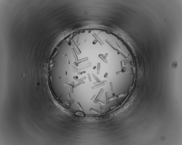 X0000100331049200806191103