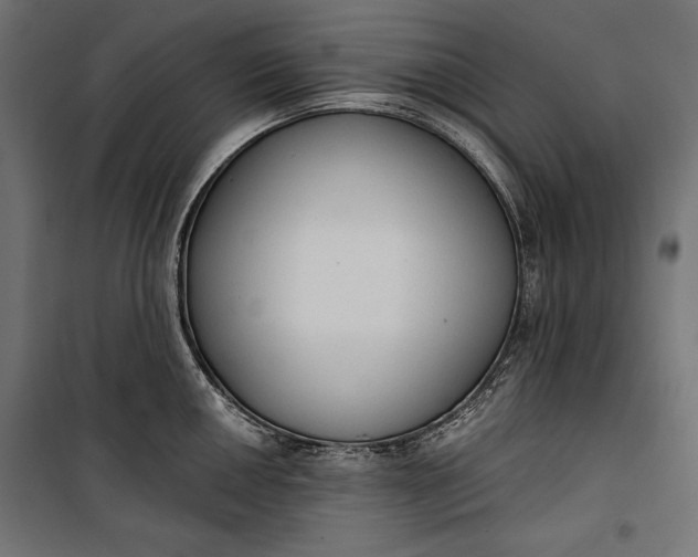 X0000100331050200806191103