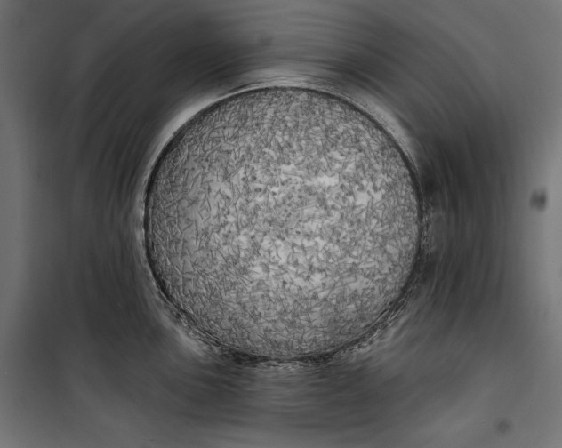 X0000100331051200806191103