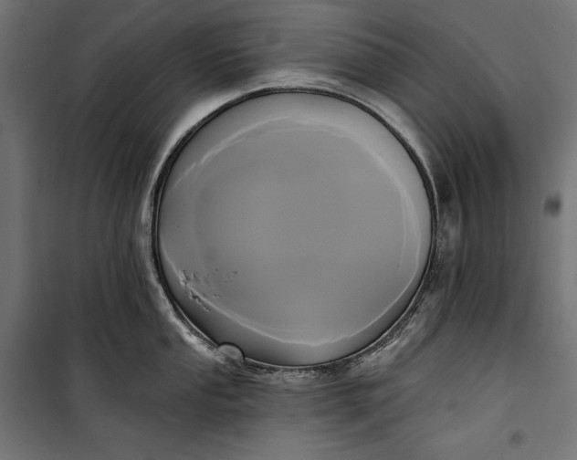 X0000100331053200806191103