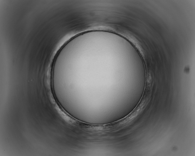 X0000100331054200806191103