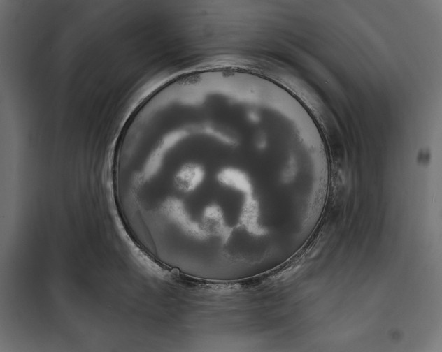 X0000100331055200806191103