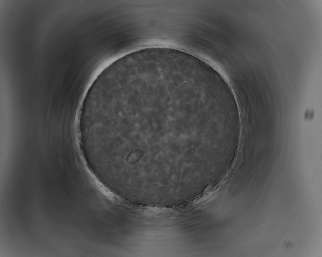 X0000100331056200806191103