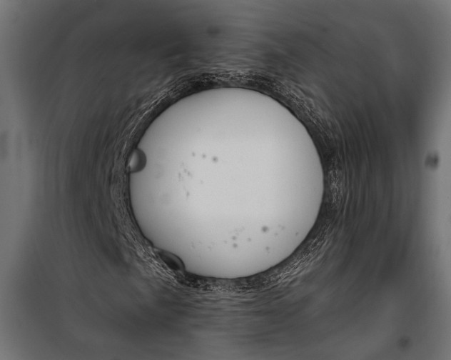 X0000100331057200806191103