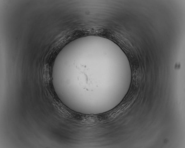 X0000100331058200806191103