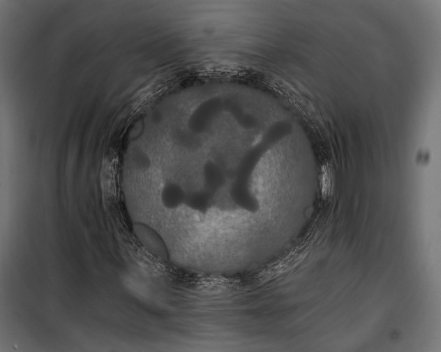 X0000100331059200806191103