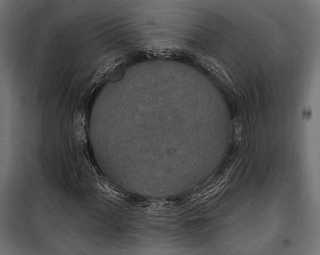 X0000100331060200806191103