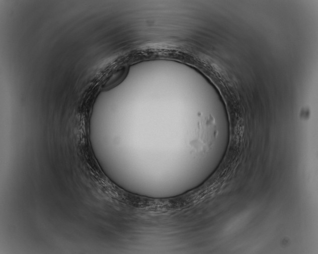 X0000100331062200806191102