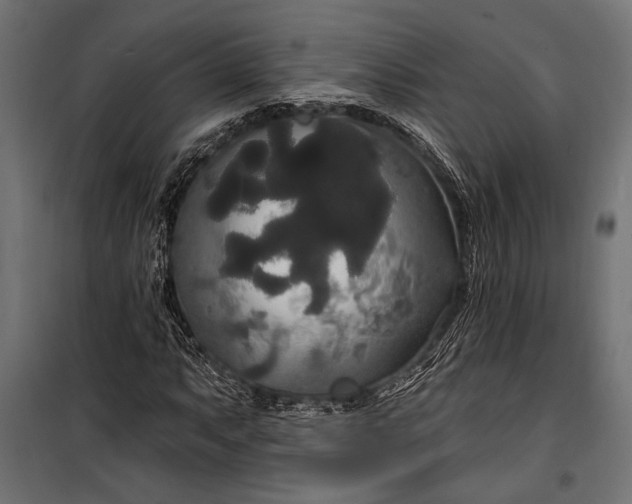 X0000100331063200806191102