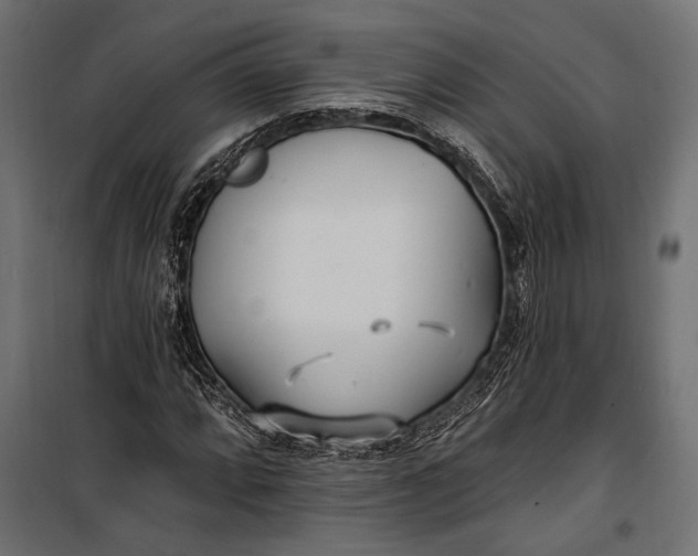 X0000100331064200806191102