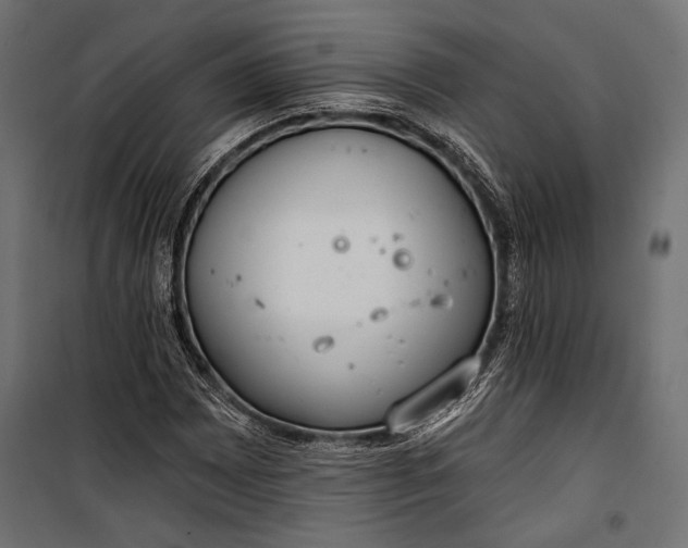 X0000100331065200806191102