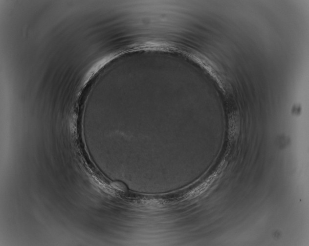 X0000100331066200806191102