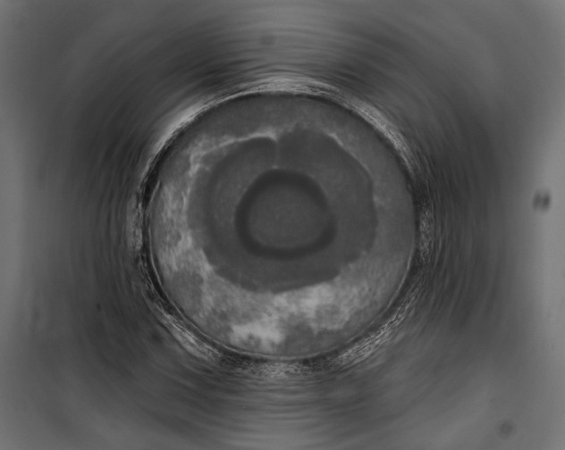 X0000100331067200806191102