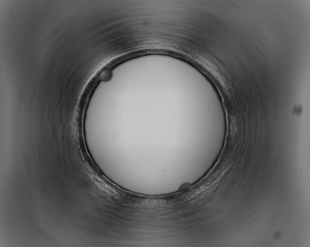 X0000100331068200806191102