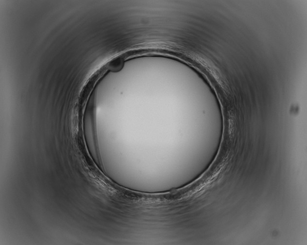 X0000100331069200806191102