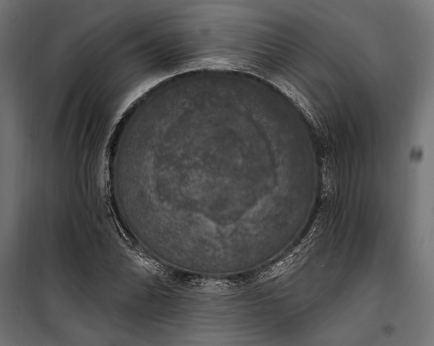 X0000100331070200806191102